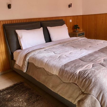 Apostolos Hotel 멧소보 외부 사진
